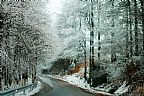 2015年2月东阳诸暨东白山雾凇雪景 (9).JPG